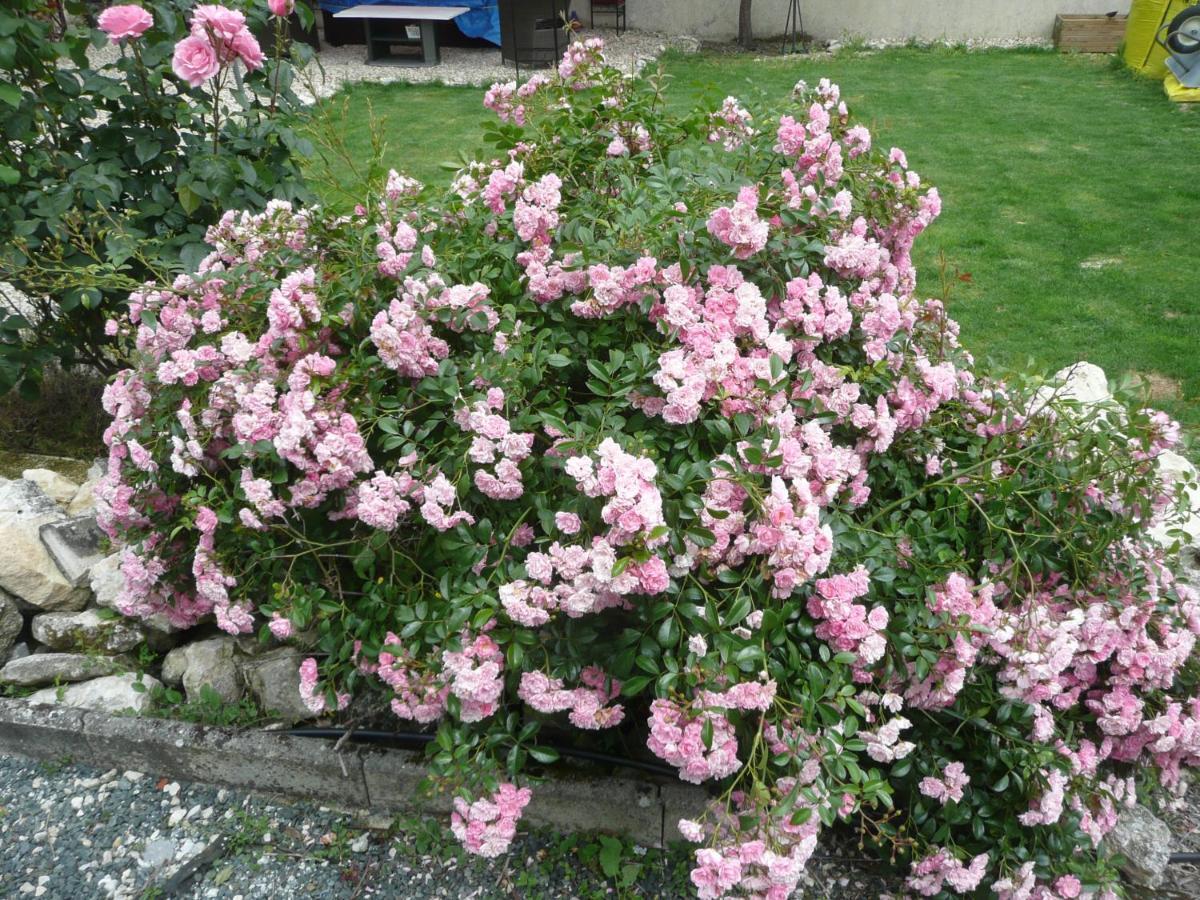 לינה וארוחת בוקר Gibourne Maison Blanc מראה חיצוני תמונה